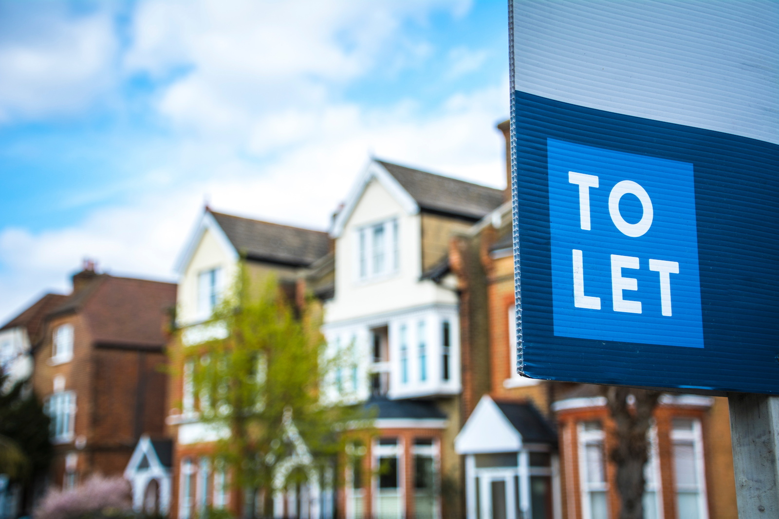'To Let' sign on a street with houses